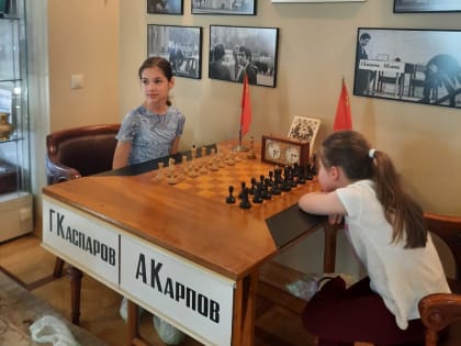 Дух Пола Морфи и кресло Анатолия Карпова: определены медалисты первенства области по рапиду