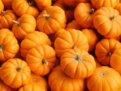 Хэллоуин-2023: священник РПЦ о Самайне, Велесовой ночи и Тыквенном Спасе