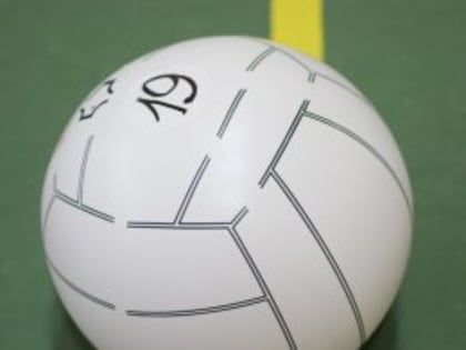 Сахалинские дошколята определили сильнейших в мини-волейболе