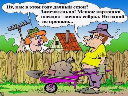 Сбор урожая картофеля: советы и рекомендации