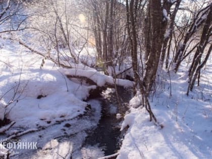 Охинцам обещают неустойчивый плюс в конце недели