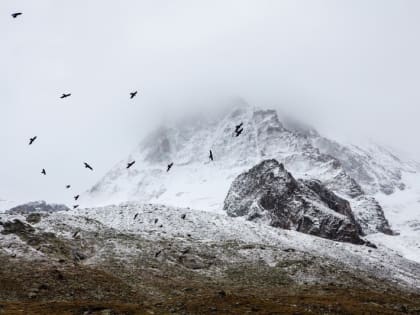 Церковный праздник на 13 декабря 2023 года: народные приметы на Андреев день