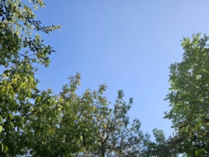 Ясная погода ожидается в Сахалинской области 4 сентября