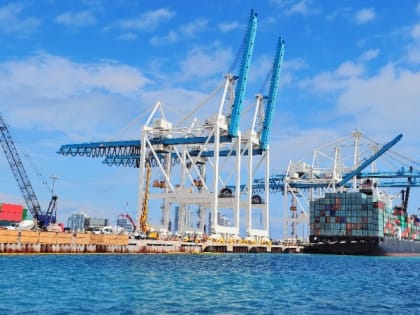 Свыше 44 тысяч тонн рыбы и морепродуктов экспортировали из Приморья и Сахалина за неделю