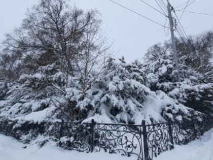 Холодная ночь и день без осадков ожидают жителей Южно-Сахалинска 11 января
