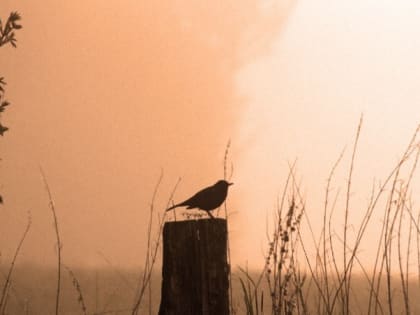 Народные приметы на 17 марта 2023 года — что нельзя делать в этот день