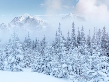 Сильный ветер и снегопад ожидаются в Сахалинской области на 25 января