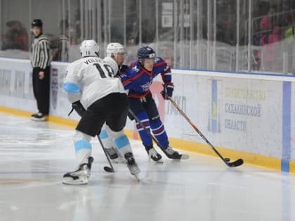 Гости забросили в каждом периоде по две шайбы и победили