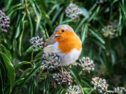 Народные приметы на 30 апреля — что можно и нельзя делать на Зосима-пчельника