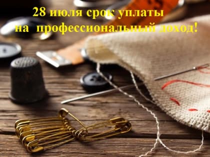 Наступает очередной срок уплаты налога на профессиональный доход