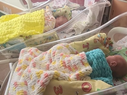 С начала 2024 года на Сахалине родились десять пар двойняшек