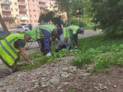 В Южно-Сахалинске продолжают высаживать цветы, газоны и обновлять дорожное покрытие