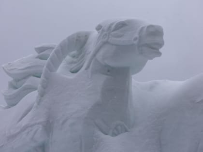 В Южно-Сахалинске 19 февраля будет снежно и пасмурно
