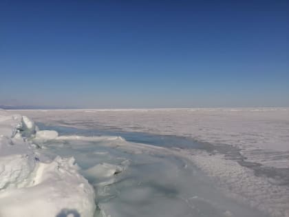 В заливе Мордвинова 1 марта припай устойчив