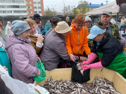 Корсаковцам бесплатно раздали тонну мойвы