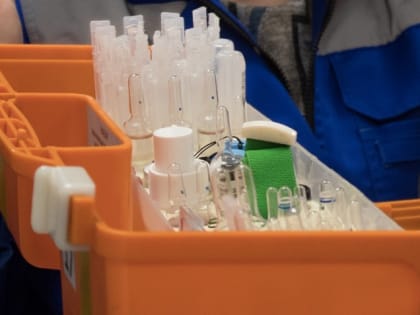 Работу фельдшерско-акушерского пункта возобновят в Лесном