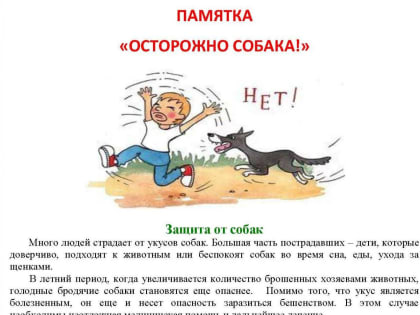 Памятка «Если укусила собака»