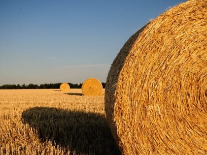Церковный праздник 2 августа — народные приметы на Ильин день, что нельзя делать