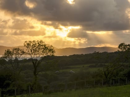 Что нельзя делать 9 августа: народные приметы в день святого Пантелеймона