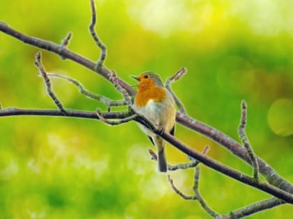 Народные приметы на 22 апреля — что нельзя делать в этот день