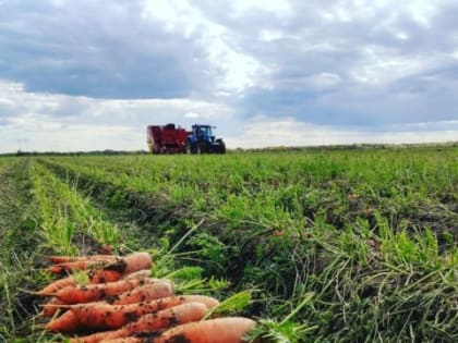 Известкование почв – залог хорошего урожая