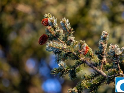 Прогноз погоды на 5 апреля в Сахалинской области
