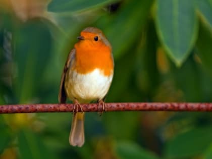 Народные приметы на 14 мая — что нельзя делать в этот день