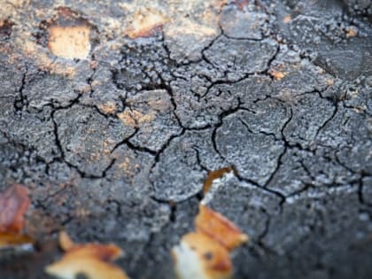 Слабое землетрясение в Охотском море у Южных Курил