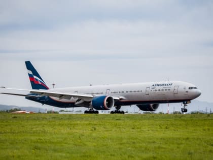 "Сесть на самолёт по недействительным документам невозможно" - юристы об инциденте в аэропорту