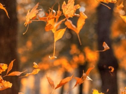 Церковный праздник 17 сентября — День памяти пророка Моисея, народные приметы