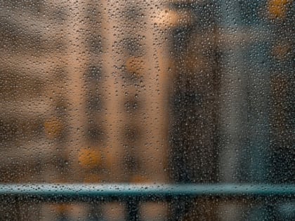 Прогноз погоды на 26 августа в Сахалинской области