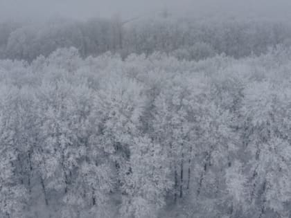 Метель не сбавит обороты на Сахалине, но немного утихнет на Курилах 5 февраля