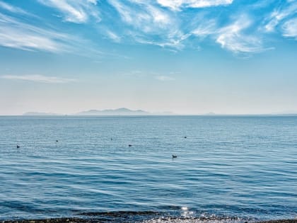 Водоемы в России заполняют личинки червей, которые прогрызают кожу