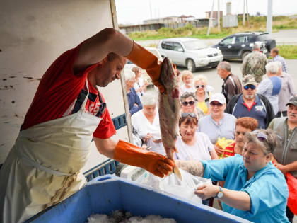 Свежую кету реализовали в селе Озерское