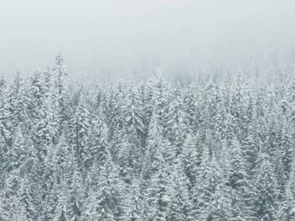 Церковный праздник на 30 января 2024 года: народные приметы на Антонов день