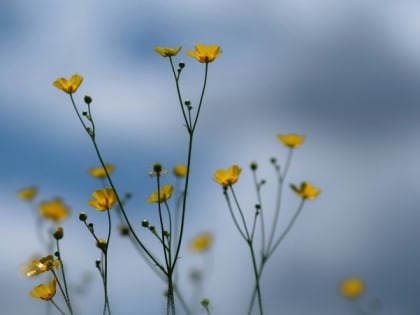 Тепло и солнечно будет на Сахалине 28 июня