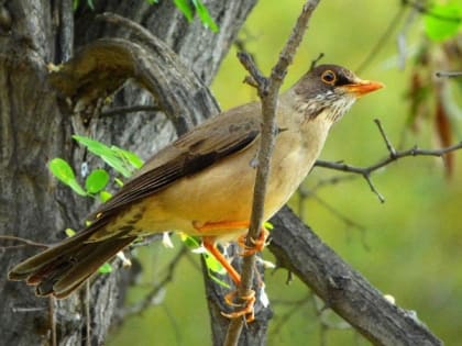 Народные приметы на 7 апреля — что нельзя делать в этот день