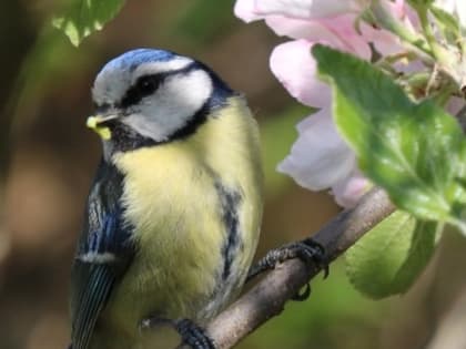 Народные приметы на 3 мая — что можно и нельзя делать на Окликание предков