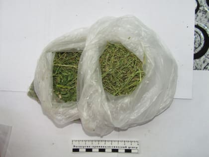 Житель села Эхаби выращивал у себя дома марихуану