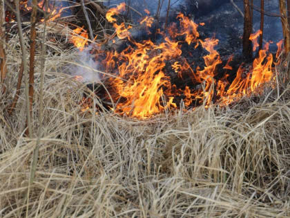 В Охе на улице Комсомольской горело 70 квадратных метров сухой травы