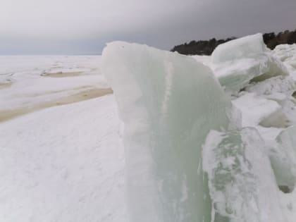 В заливе Мордвинова 29 января ожидается взлом припая