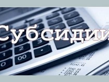 О проведении отбора на предоставления субсидий субъектам малого и среднего предпринимательства городского округа «Город Южно-Сахалинск»