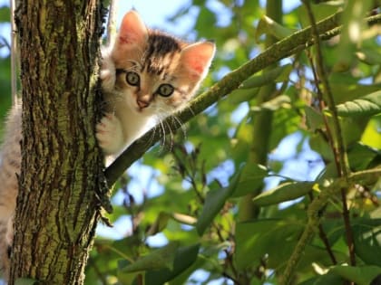 Народные приметы на 16 мая — что нельзя делать в этот день