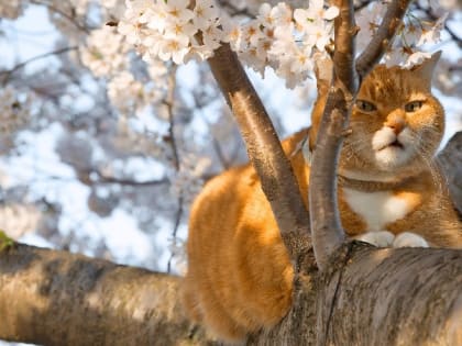 Народные приметы на 3 апреля — что нельзя делать в этот день