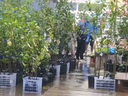 Сегодня не тает, а завтра – кто знает? Близятся к финишу сезонные работы на дачных участках