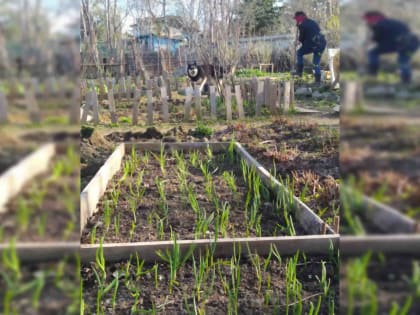 В ожидании солнца работу не бросайте.  А заодно прислушайтесь к рекомендациям ведущей нашей постоянной рубрики