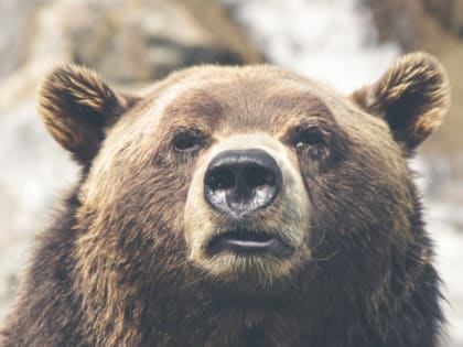 Народные приметы на 16 марта 2023 года — что нельзя делать в этот день