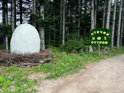 Развитие семейной фермы в Екатеринбурге