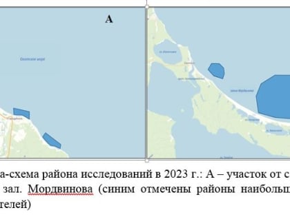 УЧЕНЫЕ САХНИРО ОЦЕНИЛИ ВЛИЯНИЕ ЛЮБИТЕЛЬСКОГО РЫБОЛОВСТВА НА СОСТОЯНИЕ ЗАПАСОВ КОРЮШКИ АЗИАТСКОЙ ЗУБАСТОЙ И НАВАГИ.