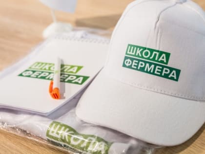 Сахалинские выпускники проекта 